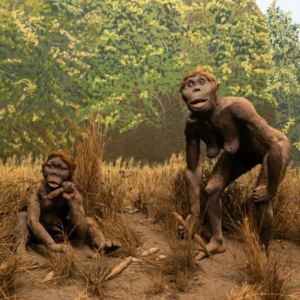 cientificos-encuentran-rastros-de-2-homininos-arcaicos-desconocidos-en-el-adn-humano