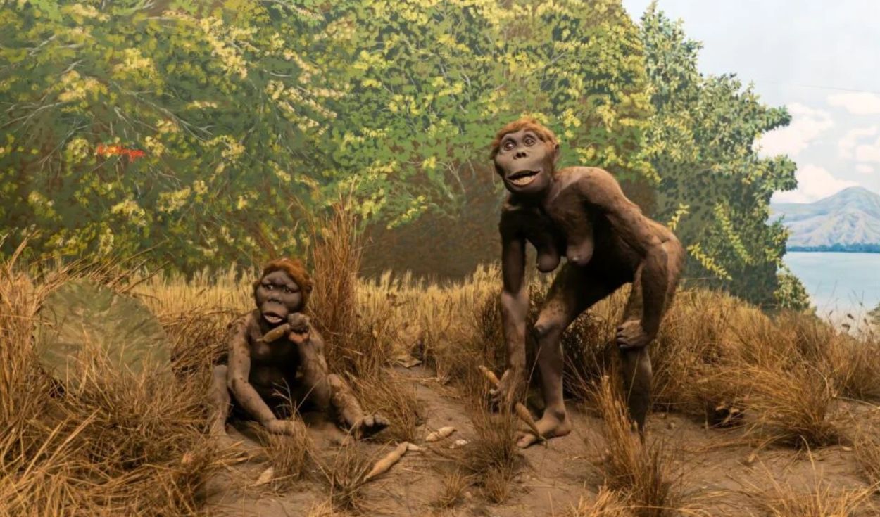 cientificos-encuentran-rastros-de-2-homininos-arcaicos-desconocidos-en-el-adn-humano
