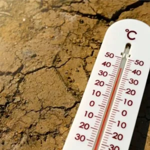 registran-395-muertes-por-calor-en-austria-en-junio