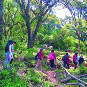 joya-jujena:-trekking-en-las-yungas-menos-conocidas