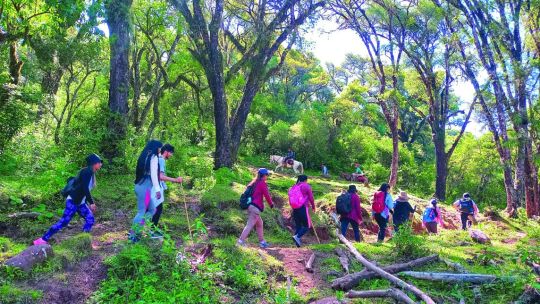 joya-jujena:-trekking-en-las-yungas-menos-conocidas