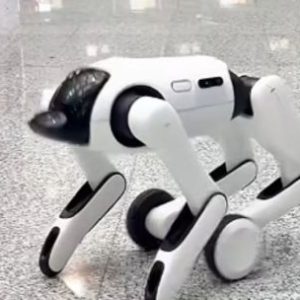 te-presentamos-al-primer-robot-humanoide-del-mundo-que-altera-su-cuerpo-segun-el-terreno