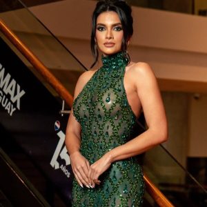 (galeria)-la-exmiss-clara-sosa-aparecio-en-una-gala-con-transparencias!