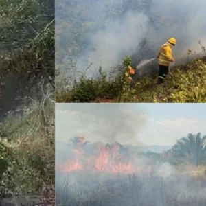 gobernador-de-cundinamarca,-jorge-emilio-rey,-reporta-que-siete-incendios-forestales-son-atendidos-en-cinco-municipios-del-departamento