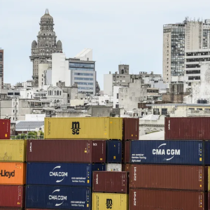carne-y-celulosa-lideraron-las-exportaciones-uruguayas-en-los-primeros-siete-meses