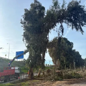 parque-pedro-de-valdivia-permanecera-cerrado-esta-semana-para-realizar-trabajos-preventivos-y-revision-del-arbolado