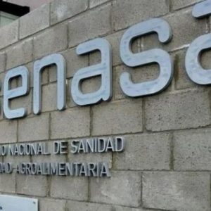 el-gobierno-amplio-la-flexibilizacion-para-importar-alimentos-y-elimino-requisitos-para-insumos-de-paises-con-altos-estandares-sanitarios