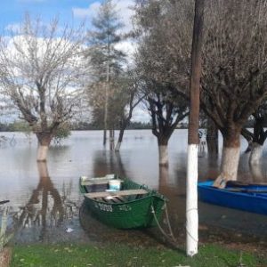 el-rio-uruguay-sigue-creciendo-y-pone-en-jaque-a-localidades-riberenas-del-litoral