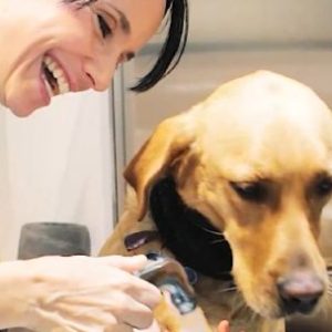 asi-es-el-primer-laverap-para-perros-de-la-argentina