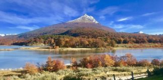 Gol conectará Ushuaia y El Calafate con San Pablo sin pasar por Buenos Aires gol-conectara-ushuaia-y-el-calafate-con-san-pablo-sin-pasar-por-buenos-aires