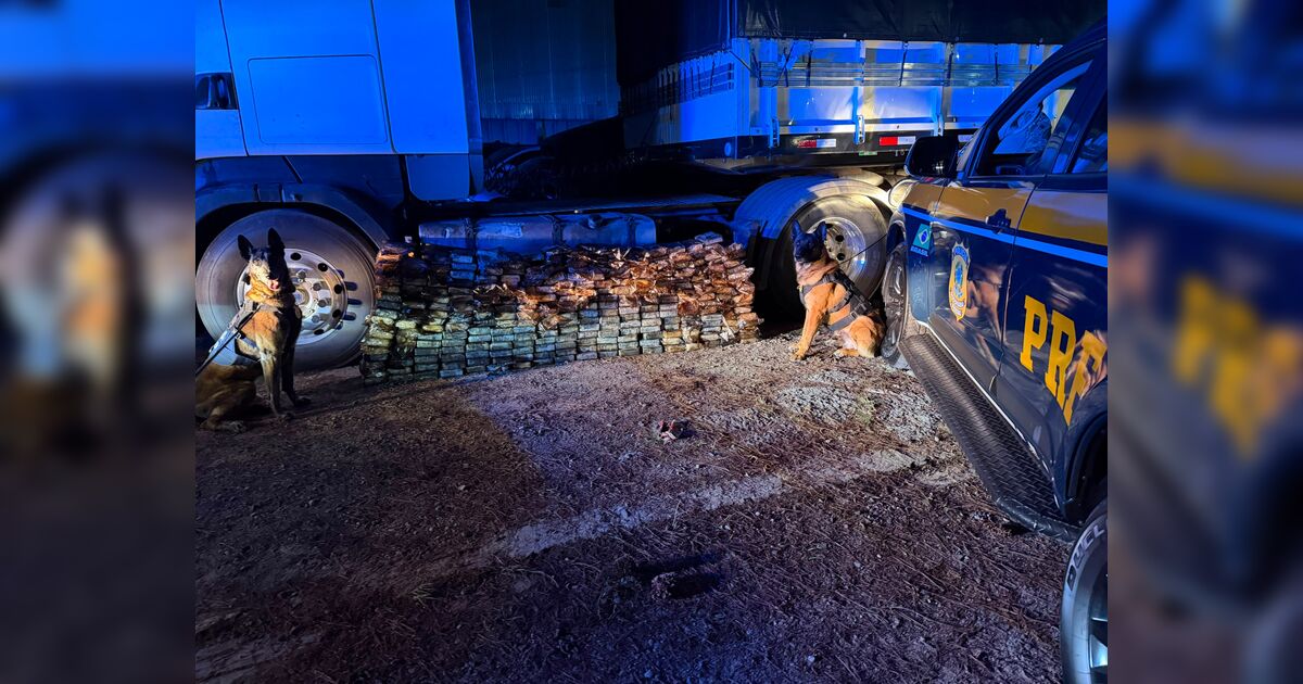 motorista-paraguaio-e-preso-na-br-277-com-298-kg-de-cocaina-em-tanque-de-combustivel