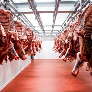 china-incremento-sus-compras-de-carne-y-podria-abrirse-una-oportunidad-para-la-argentina