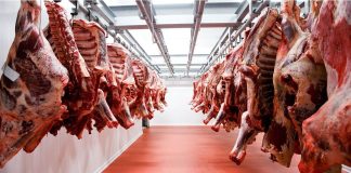 China incrementó sus compras de carne y podría abrirse una oportunidad para la Argentina china-incremento-sus-compras-de-carne-y-podria-abrirse-una-oportunidad-para-la-argentina
