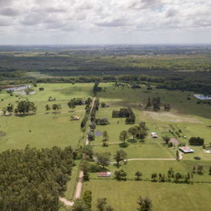 tras-polemica-por-megaproyecto-urbanistico,-ambiente-emitira-decreto-para-incluir-a-los-banados-de-carrasco-entre-humedales-protegidos