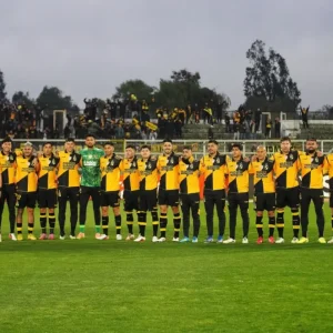 coquimbo-unido:-$15.000-la-entrada-para-copa-libertadores