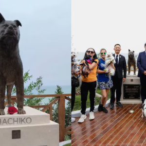 hachiko-en-peru?-miraflores-inaugura-parque-con-estatua-en-honor-a-fiel-perrito-que-espero-a-su-dueno-en-el-mismo-lugar-tras-su-muerte
