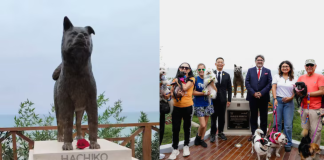 Hachiko en Perú? Miraflores inaugura parque con estatua en honor a fiel perrito que esperó a su dueño en el mismo lugar tras su muerte hachiko-en-peru?-miraflores-inaugura-parque-con-estatua-en-honor-a-fiel-perrito-que-espero-a-su-dueno-en-el-mismo-lugar-tras-su-muerte