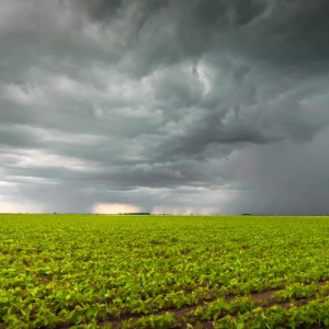el-fenomeno-el-nino-se-acerca-y-enciende-alertas:-como-puede-impactar-en-la-economia-argentina