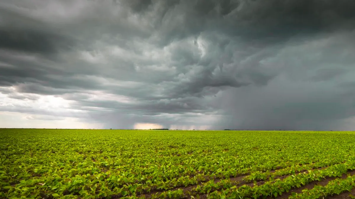 el-fenomeno-el-nino-se-acerca-y-enciende-alertas:-como-puede-impactar-en-la-economia-argentina