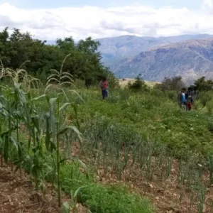 santa-cruz-sera-sede-del-i-congreso-de-agricultura-sostenible