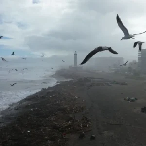 coquimbo-espera-30-mm-de-lluvia:-hay-“similitudes”-con-2015