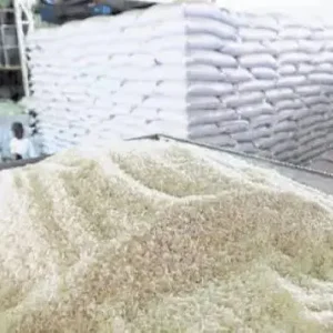 ingresan-hasta-20-camiones-diario-con-arroz-de-contrabando-al-pais