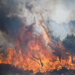 guerras,-incendios-florestais-e-migracao-pressionam-europa-e-expoem-fragilidades