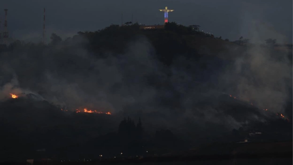 alerta-por-un-voraz-incendio-en-el-cerro-tutelar-de-cristo-rey-en-inmediaciones-del-zoologico-de-cali:-un-edificio-fue-evacuado-por-riesgos