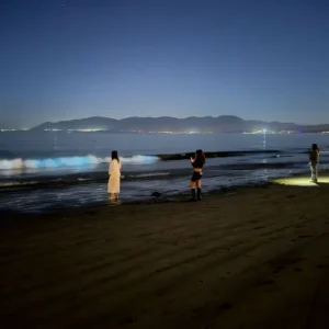 volvera-la-costa-azul?-el-nuevo-escenario-para-la-bioluminiscencia