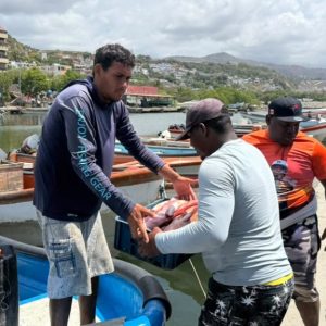 pescadores-a-caraquenos:-pueden-bajar-a-la-guaira-a-comprar-pescado-fresco