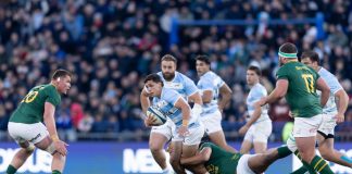 Last-play heartbreak as the Pumas lose 17-10 to South Africa last-play-heartbreak-as-the-pumas-lose-17-10-to-south-africa