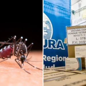 minsa-refuerza-vacunacion-contra-el-dengue-con-casi-200.000-dosis-enviadas-a-siete-regiones-del-peru