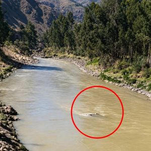 junin:-tres-personas-mueren-tras-despiste-de-auto-que-cayo-al-rio-mantaro-en-la-carretera-central