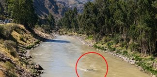 Junín: tres personas mueren tras despiste de auto que cayó al río Mantaro en la Carretera Central junin:-tres-personas-mueren-tras-despiste-de-auto-que-cayo-al-rio-mantaro-en-la-carretera-central