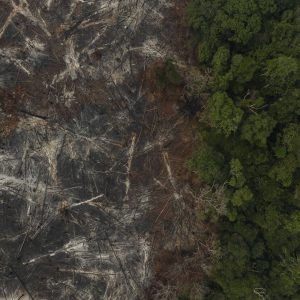 petrobras-escolhe-empresa-para-creditos-de-carbono-cujo-socio-teve-madeireira-punida