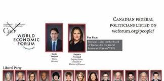 The Trudeau Freeland Carney Liberal Gangster the-trudeau-freeland-carney-liberal-gangster