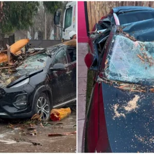 profesora-que-perdio-su-auto-tras-caida-de-un-arbol-en-la-serena-realiza-colecta-solidaria