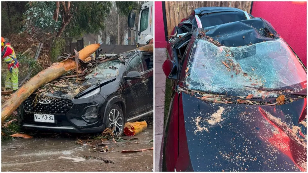 profesora-que-perdio-su-auto-tras-caida-de-un-arbol-en-la-serena-realiza-colecta-solidaria