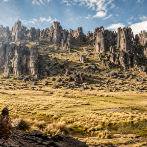 un-paisaje-de-otro-mundo-se-esconde-en-peru:-su-bosque-volcanico-refugio-a-los-primeros-cazadores-andinos-hace-10.000-anos