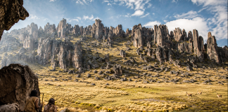 Un paisaje de otro mundo se esconde en Perú: su bosque volcánico refugió a los primeros cazadores andinos hace 10.000 años un-paisaje-de-otro-mundo-se-esconde-en-peru:-su-bosque-volcanico-refugio-a-los-primeros-cazadores-andinos-hace-10.000-anos