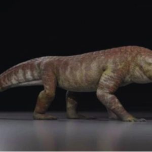 la-patagonia-escondia-un-depredador-de-mas-de-50-dientes-que-corria-por-tierra-y-pudo-cazar-dinosaurios-hace-millones-de-anos