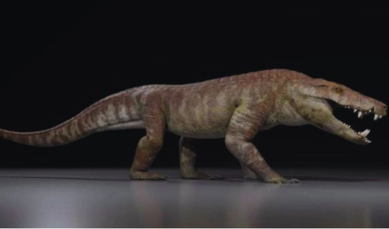 la-patagonia-escondia-un-depredador-de-mas-de-50-dientes-que-corria-por-tierra-y-pudo-cazar-dinosaurios-hace-millones-de-anos