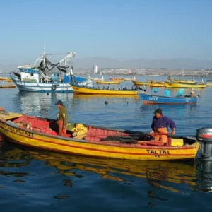 caleta-de-coquimbo-reclama-respuestas-y-acusa-falta-de-apoyo-de-las-autoridades