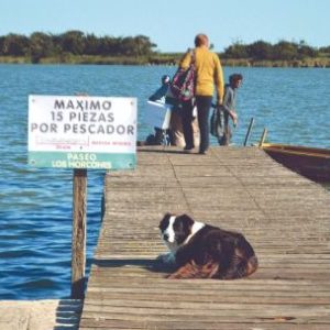 que-paso-con-la-laguna-los-horcones:-declararon-clandestinas-obras-que-afectaban-al-historico-pesquero