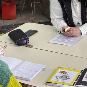 hay-261-escuelas-rurales-que-estan-expuestas-a-aplicaciones-de-fitosanitarios-que-incumplen-normativa-vigente
