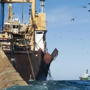 from-squid-to-oil:-how-the-uk-is-consolidating-the-illegal-exploitation-of-the-malvinas-waters-through-to-2047