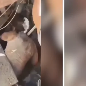 video-|-bebe-y-su-madre-fueron-rescatados-con-vida-en-medio-de-afectaciones-por-terremoto-de-7,4-en-colombia:-estaban-atrapados-en-edificio-colapsado