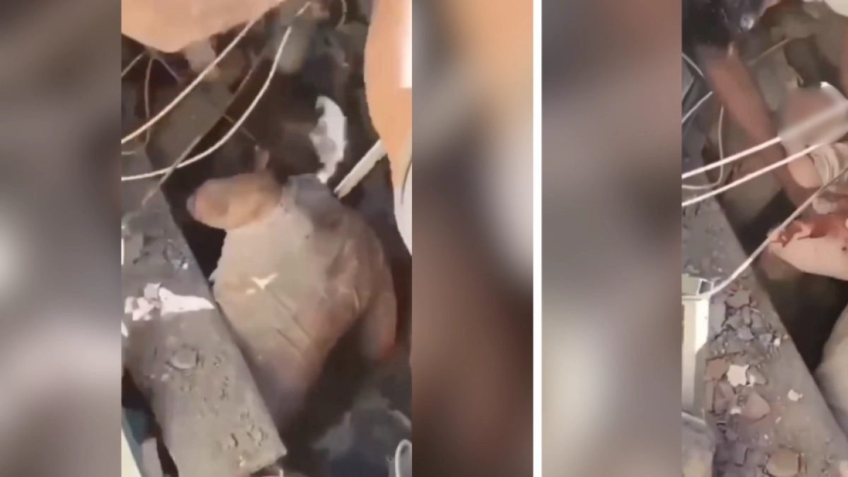 video-|-bebe-y-su-madre-fueron-rescatados-con-vida-en-medio-de-afectaciones-por-terremoto-de-7,4-en-colombia:-estaban-atrapados-en-edificio-colapsado