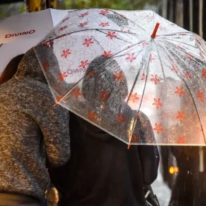 temporal-de-santa-rosa:-tres-meteorologos-anticipan-lluvias-y-ciclones-extratropicales-para-fines-de-agosto