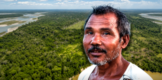 Hombre vive desde hace 40 años en un bosque que creó con sus propias manos sobre un territorio árido: es casi seis veces más grande que el Parque de las Leyendas hombre-vive-desde-hace-40-anos-en-un-bosque-que-creo-con-sus-propias-manos-sobre-un-territorio-arido:-es-casi-seis-veces-mas-grande-que-el-parque-de-las-leyendas
